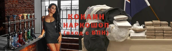 хмурый Алексин