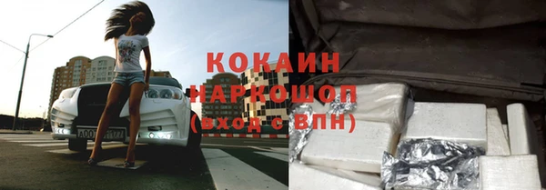 хмурый Алексин