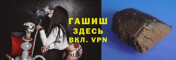 хмурый Алексин