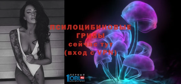 хмурый Алексин