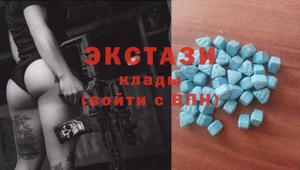 хмурый Алексин